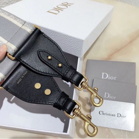 Replica falso Christian Dior Tracolla Grigio Riproduzione Fedele falso Christian Dior Tracolla Grigio imitazioni