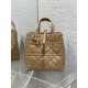 Riproduzione Fedele replica tote verticale Dior piccola/media Dior Toujours marrone imitazioni