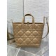 Riproduzione Fedele replica tote verticale Dior piccola/media Dior Toujours marrone imitazioni