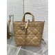 Riproduzione Fedele replica tote verticale Dior piccola/media Dior Toujours marrone imitazioni