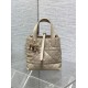Replica Imitazione Borsa tote verticale Dior piccola/media Dior Toujours albicocca Riproduzione Fedele Imitazione Borsa tote verticale Dior piccola/media Dior Toujours albicocca imitazioni