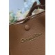 Riproduzione Fedele Borsa a secchiello Dior Signature piccola/media marrone Imitazioni imitazioni