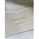 Replica Mini borsa Dior Miss Caro Cigale Oblique Chambray con effetto rafia Blu Riproduzione Fedele Mini borsa Dior Miss Caro Cigale Oblique Chambray con effetto rafia Blu imitazioni