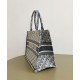 Replica Borsa Dior Book Tote Dior blu ricamata con motivo Dior Oblique grigio Riproduzione Fedele Borsa Dior Book Tote Dior blu ricamata con motivo Dior Oblique grigio imitazioni