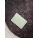 Replica Borsa Louis Vuitton Express PM M26905 Beige Riproduzione Fedele Borsa Louis Vuitton Express PM M26905 Beige imitazioni