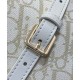 Replica Borsa Dior Travel Nomad media Crema Riproduzione Fedele Borsa Dior Travel Nomad media Crema imitazioni