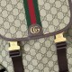 Replica Zaino grande Gucci Ophidia 839110 Marrone
