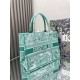 replica Dior media Dioriviera Book Tote Aquamarina Ricamo Toile de Jouy qualità specchio Replica Perfette Dior media Dioriviera Book Tote Aquamarina Ricamo Toile de Jouy imitazioni