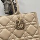 Dior Medium Book Tote Bag con tracolla Beige Macrocannage Replica Replica Perfette Dior Medium Book Tote Bag con tracolla Beige Macrocannage imitazioni