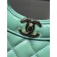 Dettagli perfetti Shiny Lambskin 31 Mini Shopping Bag AS4133 Verde Replica Replica Perfette Dettagli perfetti Shiny Lambskin 31 Mini Shopping Bag AS4133 Verde imitazioni
