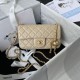 Replica Perfette Borsa AS1787 Mini con patta albicocca imitazioni