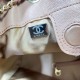 Replica Zaino Chanel 25B Medio in Vitello Granato Marrone AS5600 Imitazioni Replica Zaino Chanel 25B Medio in Vitello Granato Marrone AS5600