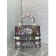 Replica Borsa Dior Lady D-Lite media con ricamo floreale multicolore Imitazioni Replica Borsa Dior Lady D-Lite media con ricamo floreale multicolore
