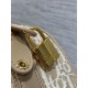 Replica Borsa Dior Groove 20 in tela jacquard Dior Oblique beige Imitazioni Replica Borsa Dior Groove 20 in tela jacquard Dior Oblique beige