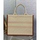 Replica Dior Dior Book Tote Media Albicocca Riproduzione Fedele Dior Dior Book Tote Media Albicocca imitazioni