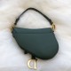 Borse Imitazioni da Saddle Christian Dior M0446 Verde Dupe Perfetta Cloni Firmate Borse Imitazioni da Saddle Christian Dior M0446 Verde imitazioni