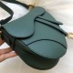 Borse Imitazioni da Saddle Christian Dior M0446 Verde Dupe Perfetta Cloni Firmate Borse Imitazioni da Saddle Christian Dior M0446 Verde imitazioni