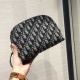 Cloni Firmate Pochette obliqua Christian Dior imitazioni