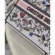 Cloni Firmate Christian Dior The Book Tote Bag Bianco imitazioni