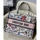 Tote per libri Christian Dior piccola Dior bianca Dupe Perfetta Cloni Firmate Tote per libri Christian Dior piccola Dior bianca imitazioni