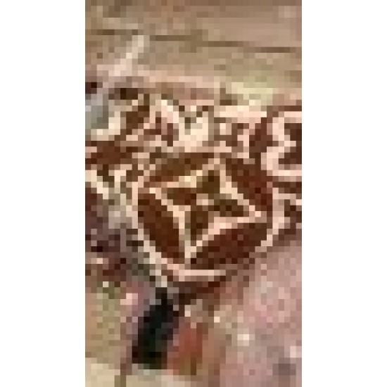 LV M79215 Sciarpa medaglione Louis Vuitton Marrone Replica Replica Perfette LV M79215 Sciarpa medaglione Louis Vuitton Marrone imitazioni