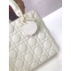 Replica Borsa Christian Dior Lady Dior Ultra-Matte White Outlet Borsa Christian Dior Lady Dior Ultra-Matte White imitazioni perfette
